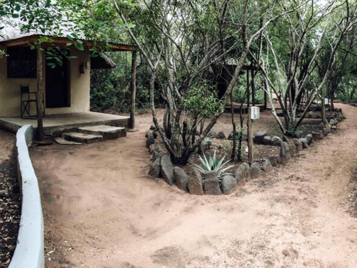 Shalati Safari Camp Manyeleti Game Reserve Exterior photo