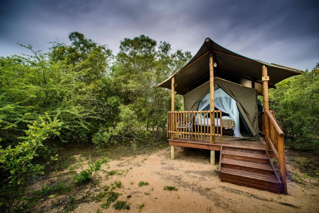 Shalati Safari Camp Manyeleti Game Reserve Exterior photo